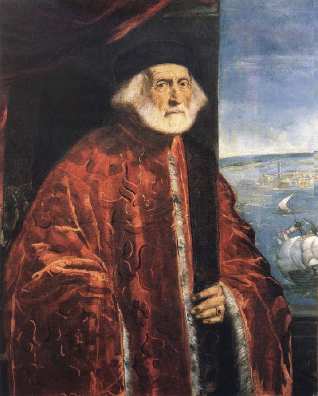 Jacopo Tintoretto Portrait of a Venetian Procurator Sweden oil painting art